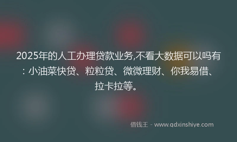 2025年的人工办理贷款业务,不看大数据可以吗有：小油菜快贷、粒粒贷、微微理财、你我易借、拉卡拉等。