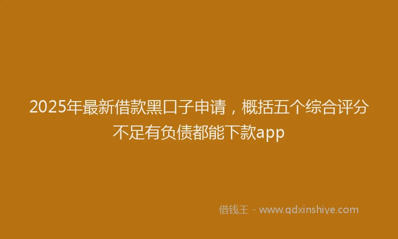 2025年最新借款黑口子申请，概括五个综合评分不足有负债都能下款app