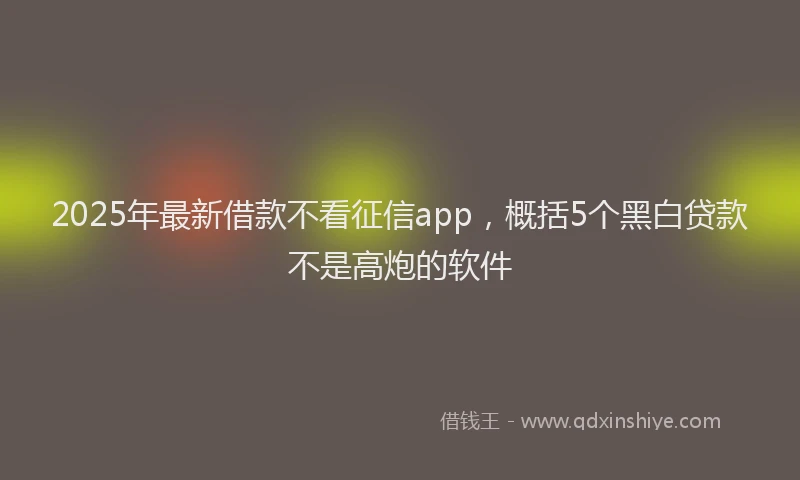 2025年最新借款不看征信app，概括5个黑白贷款不是高炮的软件