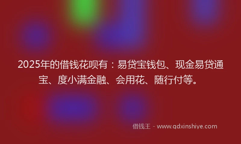 2025年的借钱花呗有：易贷宝钱包、现金易贷通宝、度小满金融、会用花、随行付等。