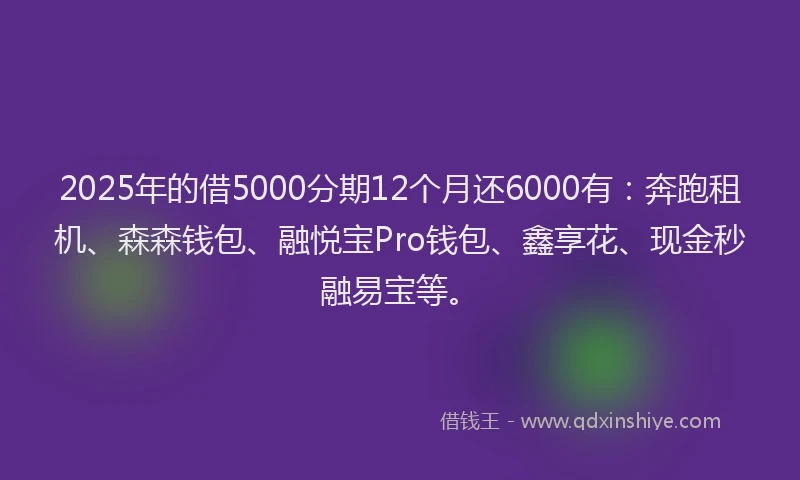 2025年的借5000分期12个月还6000有：奔跑租机、森森钱包、融悦宝Pro钱包、鑫享花、现金秒融易宝等。