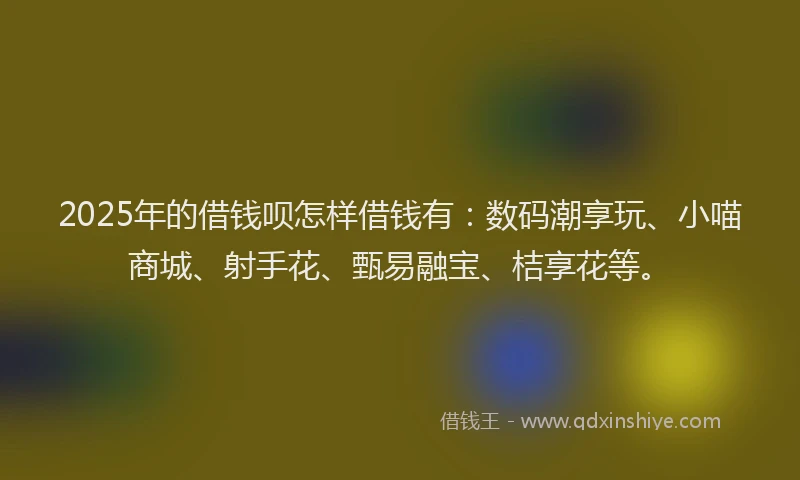 2025年的借钱呗怎样借钱有：数码潮享玩、小喵商城、射手花、甄易融宝、桔享花等。
