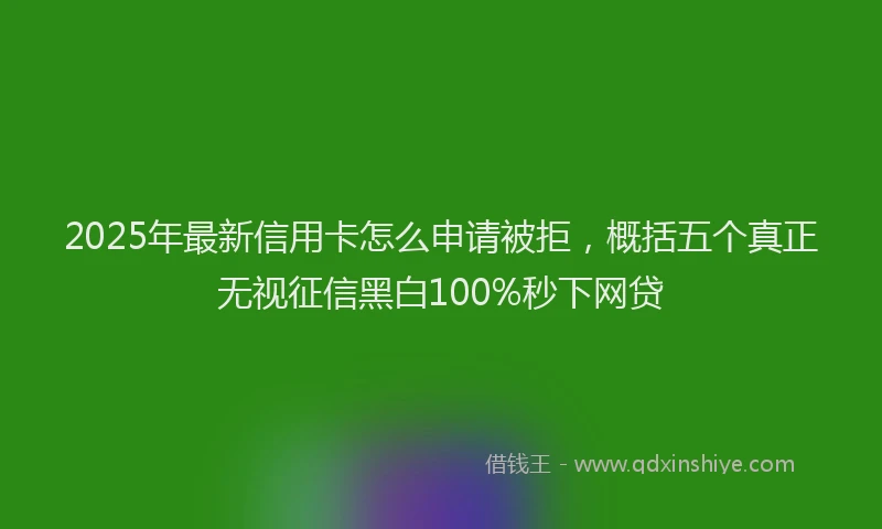 2025年最新信用卡怎么申请被拒，概括五个真正无视征信黑白100%秒下网贷