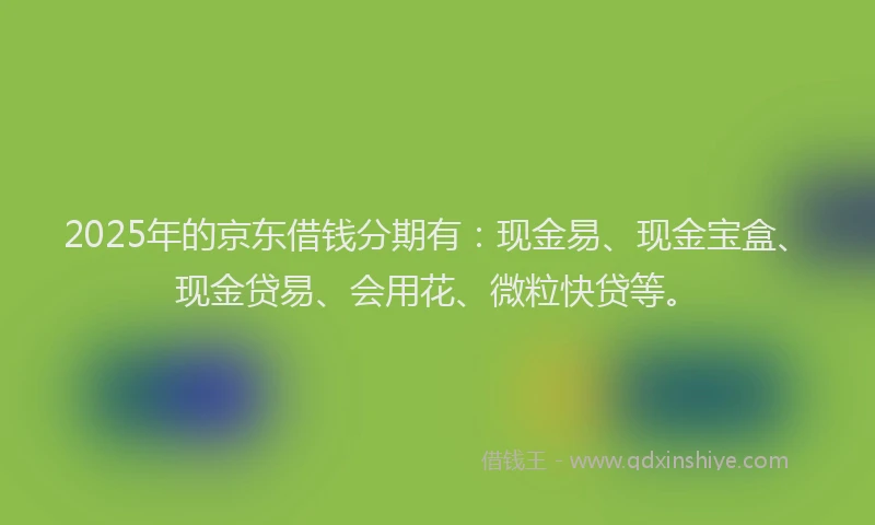 2025年的京东借钱分期有：现金易、现金宝盒、现金贷易、会用花、微粒快贷等。