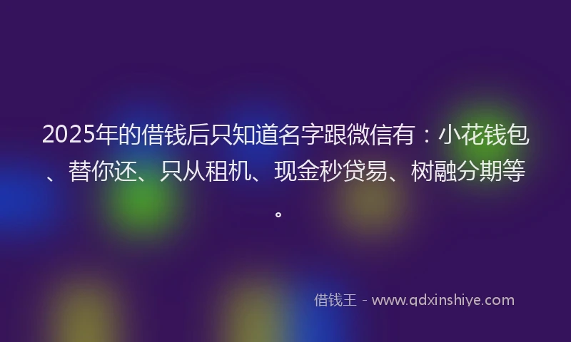 2025年的借钱后只知道名字跟微信有：小花钱包、替你还、只从租机、现金秒贷易、树融分期等。