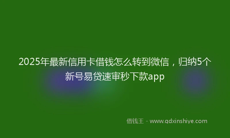2025年最新信用卡借钱怎么转到微信，归纳5个新号易贷速审秒下款app