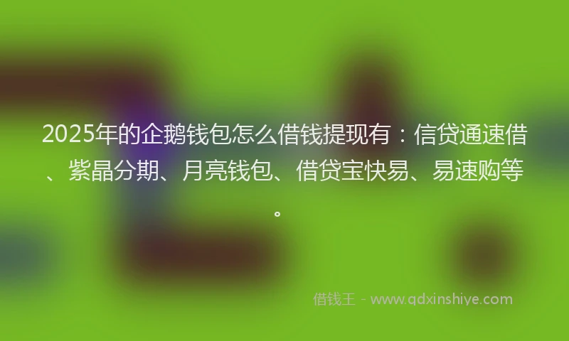 2025年的企鹅钱包怎么借钱提现有：信贷通速借、紫晶分期、月亮钱包、借贷宝快易、易速购等。