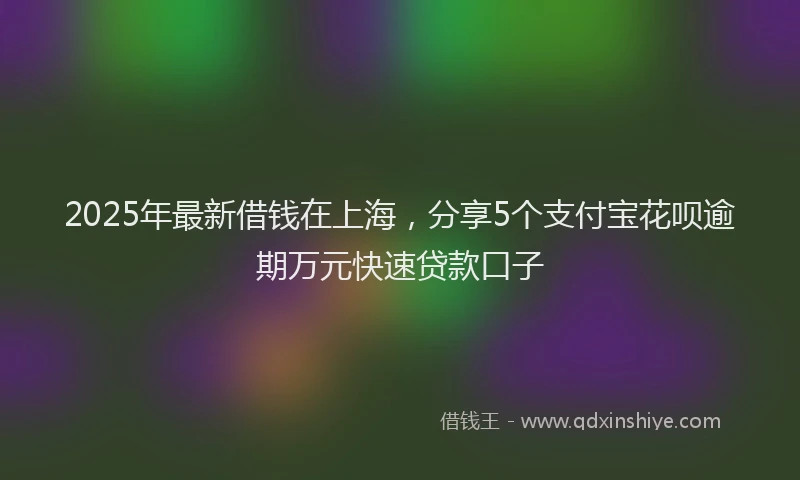 2025年最新借钱在上海，分享5个支付宝花呗逾期万元快速贷款口子