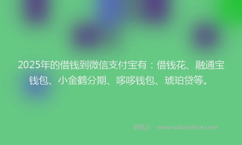 2025年的借钱到微信支付宝有：借钱花、融通宝钱包、小金鹤分期、哆哆钱包、琥珀贷等。