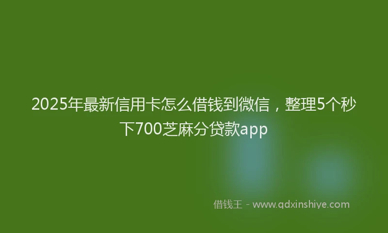 2025年最新信用卡怎么借钱到微信，整理5个秒下700芝麻分贷款app