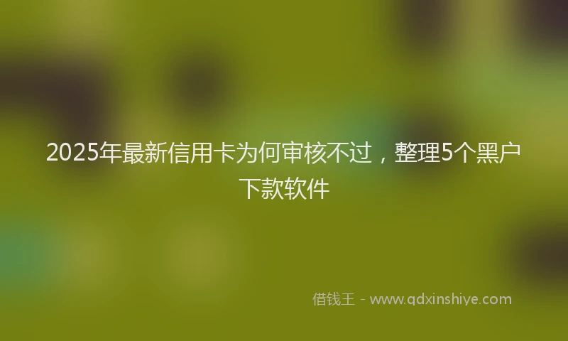 2025年最新信用卡为何审核不过，整理5个黑户下款软件