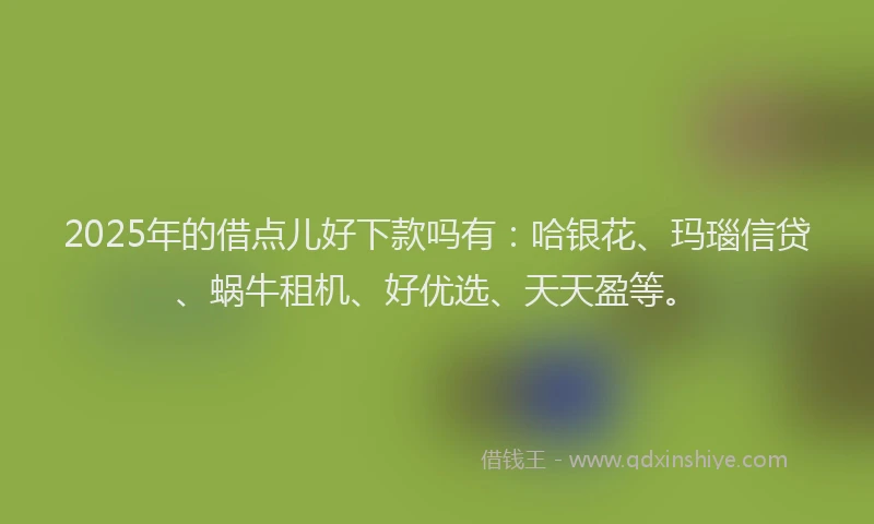 2025年的借点儿好下款吗有：哈银花、玛瑙信贷、蜗牛租机、好优选、天天盈等。