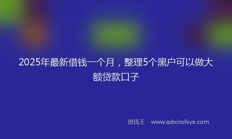 2025年最新借钱一个月，整理5个黑户可以做大额贷款口子