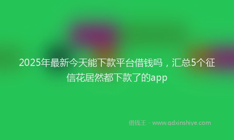 2025年最新今天能下款平台借钱吗，汇总5个征信花居然都下款了的app