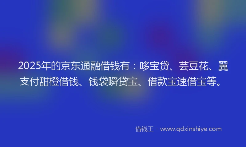 2025年的京东通融借钱有：哆宝贷、芸豆花、翼支付甜橙借钱、钱袋瞬贷宝、借款宝速借宝等。
