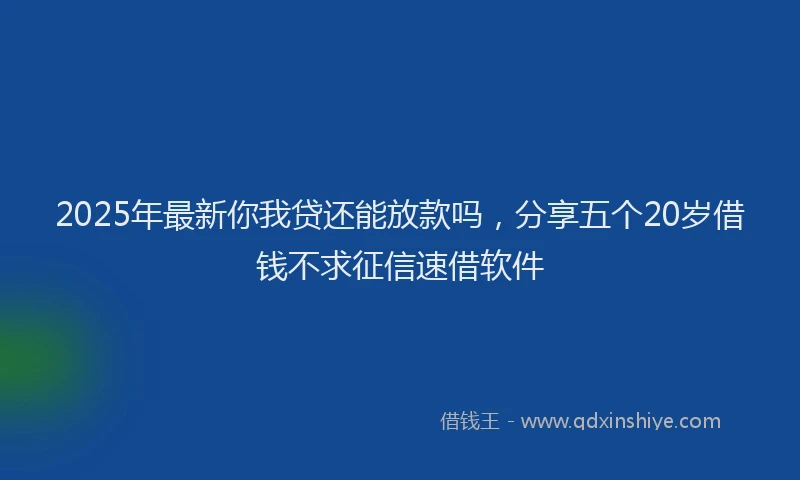 2025年最新你我贷还能放款吗，分享五个20岁借钱不求征信速借软件
