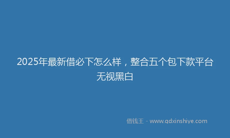 2025年最新借必下怎么样，整合五个包下款平台无视黑白