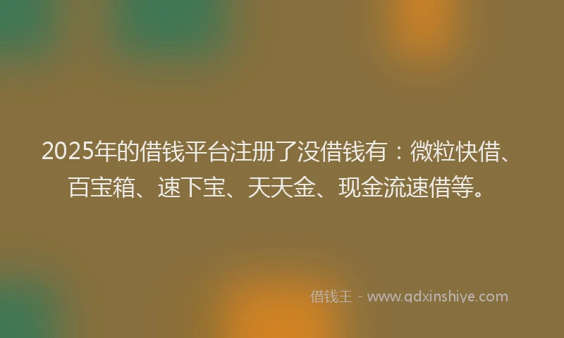 2025年的借钱平台注册了没借钱有：微粒快借、百宝箱、速下宝、天天金、现金流速借等。