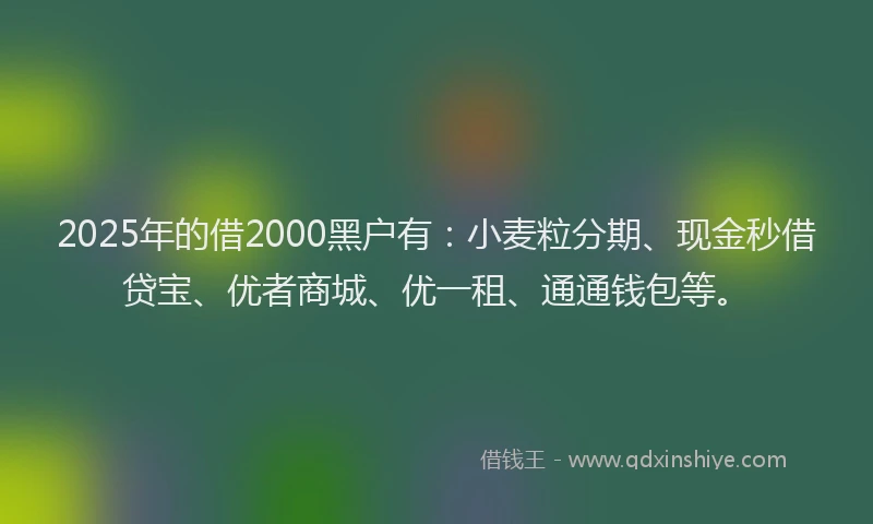 2025年的借2000黑户有：小麦粒分期、现金秒借贷宝、优者商城、优一租、通通钱包等。