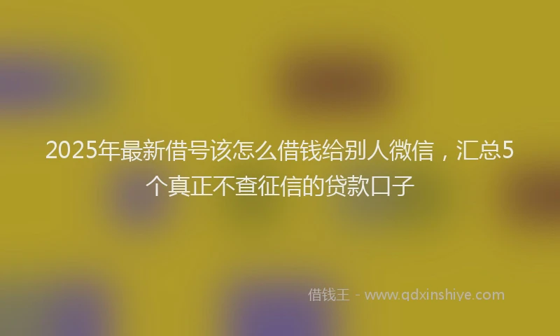 2025年最新借号该怎么借钱给别人微信，汇总5个真正不查征信的贷款口子
