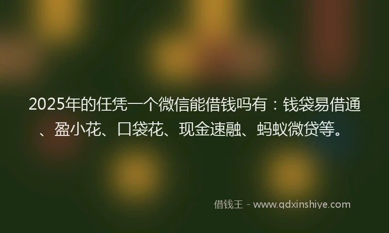 2025年的任凭一个微信能借钱吗有：钱袋易借通、盈小花、口袋花、现金速融、蚂蚁微贷等。