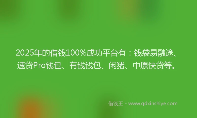 2025年的借钱100%成功平台有：钱袋易融途、速贷Pro钱包、有钱钱包、闲猪、中原快贷等。