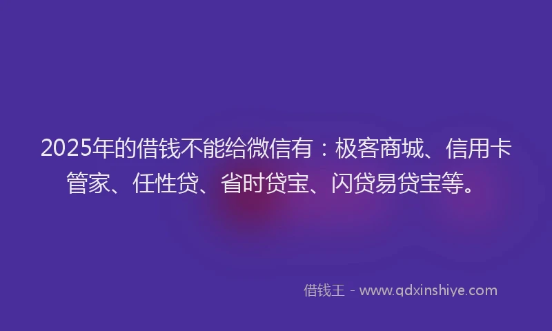 2025年的借钱不能给微信有：极客商城、信用卡管家、任性贷、省时贷宝、闪贷易贷宝等。