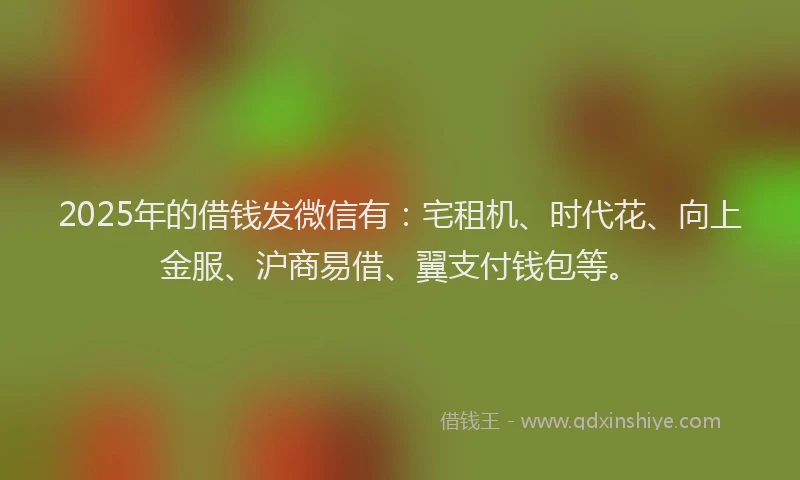 2025年的借钱发微信有：宅租机、时代花、向上金服、沪商易借、翼支付钱包等。