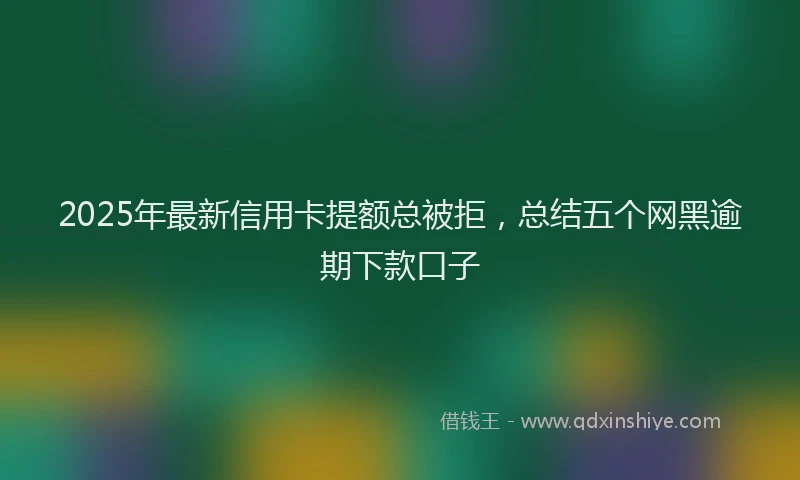 2025年最新信用卡提额总被拒，总结五个网黑逾期下款口子