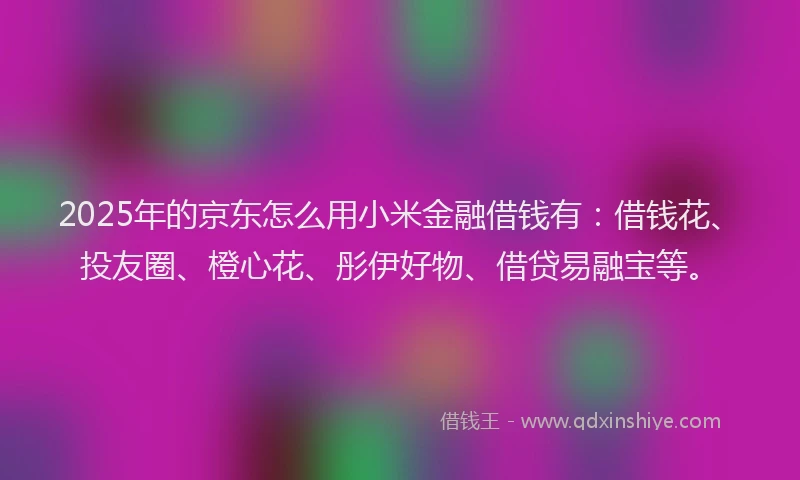2025年的京东怎么用小米金融借钱有：借钱花、投友圈、橙心花、彤伊好物、借贷易融宝等。