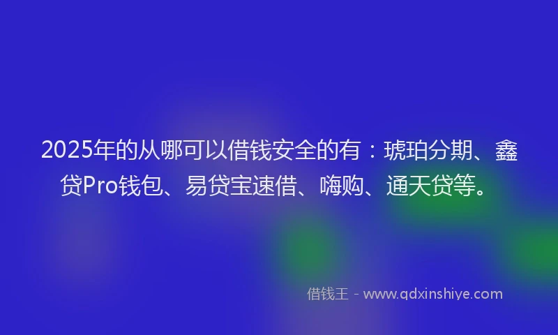 2025年的从哪可以借钱安全的有：琥珀分期、鑫贷Pro钱包、易贷宝速借、嗨购、通天贷等。