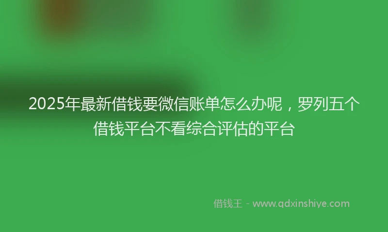 2025年最新借钱要微信账单怎么办呢，罗列五个借钱平台不看综合评估的平台