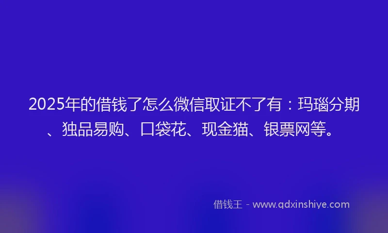2025年的借钱了怎么微信取证不了有：玛瑙分期、独品易购、口袋花、现金猫、银票网等。