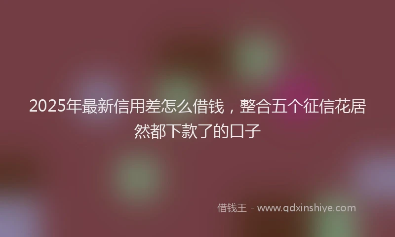 2025年最新信用差怎么借钱，整合五个征信花居然都下款了的口子