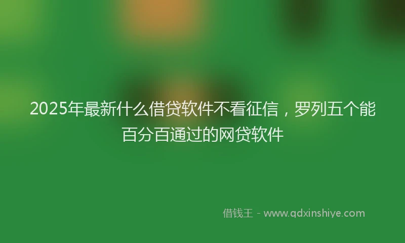 2025年最新什么借贷软件不看征信，罗列五个能百分百通过的网贷软件