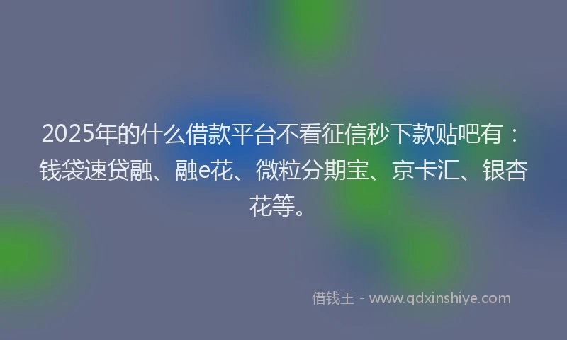 2025年的什么借款平台不看征信秒下款贴吧有：钱袋速贷融、融e花、微粒分期宝、京卡汇、银杏花等。