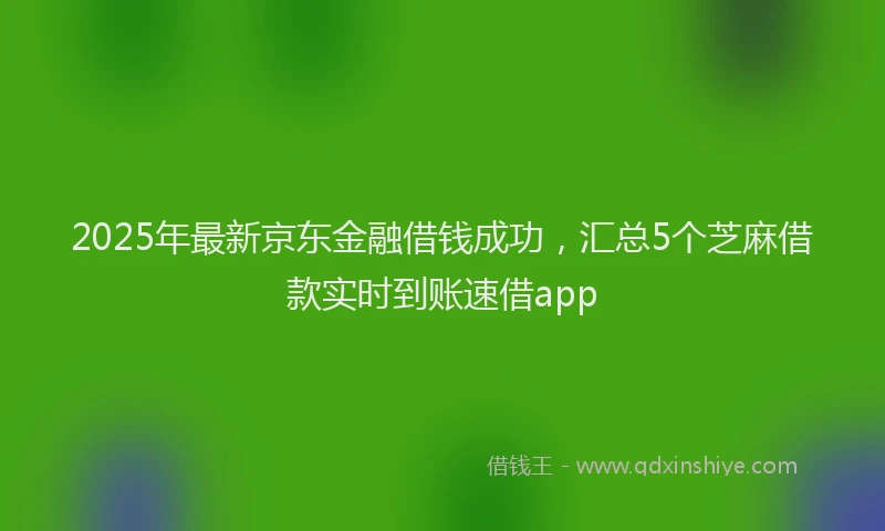 2025年最新京东金融借钱成功，汇总5个芝麻借款实时到账速借app
