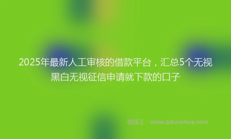 2025年最新人工审核的借款平台，汇总5个无视黑白无视征信申请就下款的口子