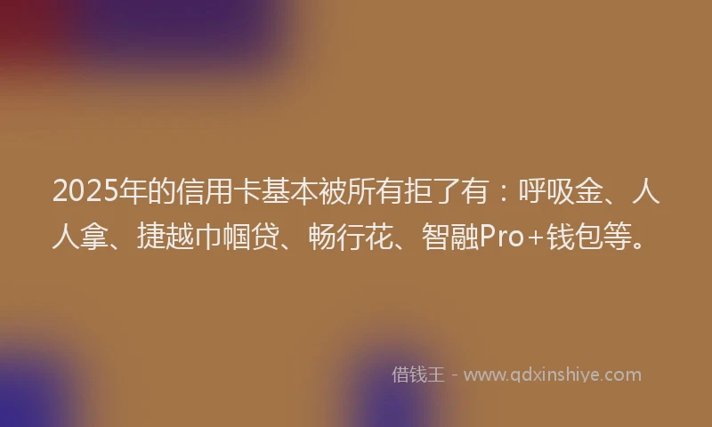 2025年的信用卡基本被所有拒了有：呼吸金、人人拿、捷越巾帼贷、畅行花、智融Pro+钱包等。