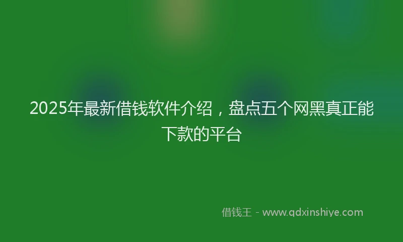 2025年最新借钱软件介绍，盘点五个网黑真正能下款的平台