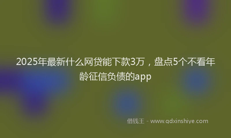 2025年最新什么网贷能下款3万，盘点5个不看年龄征信负债的app