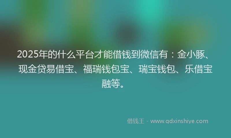 2025年的什么平台才能借钱到微信有：金小豚、现金贷易借宝、福瑞钱包宝、瑞宝钱包、乐借宝融等。