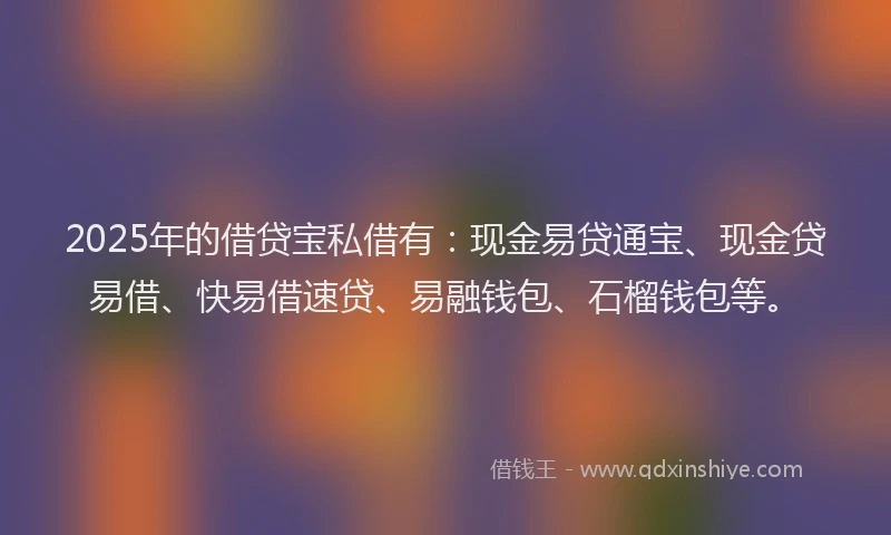 2025年的借贷宝私借有：现金易贷通宝、现金贷易借、快易借速贷、易融钱包、石榴钱包等。