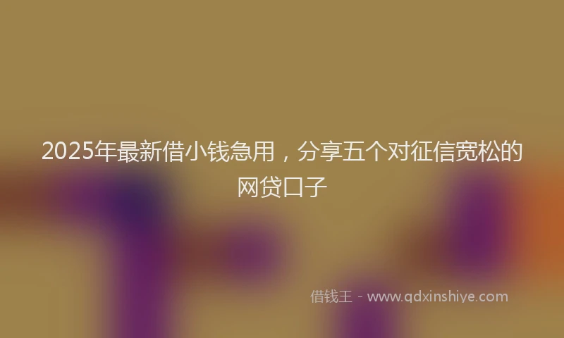 2025年最新借小钱急用，分享五个对征信宽松的网贷口子