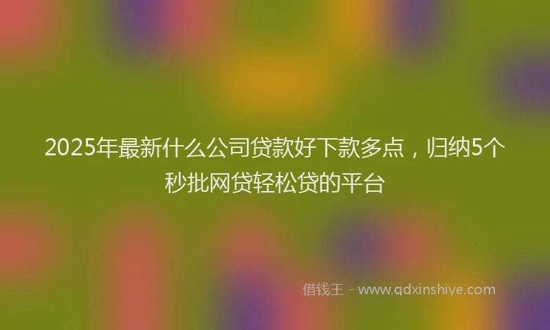 2025年最新什么公司贷款好下款多点，归纳5个秒批网贷轻松贷的平台