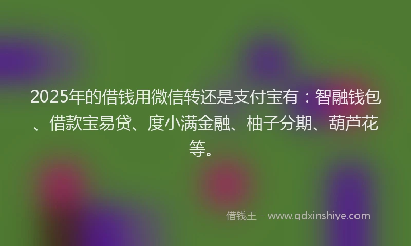 2025年的借钱用微信转还是支付宝有：智融钱包、借款宝易贷、度小满金融、柚子分期、葫芦花等。