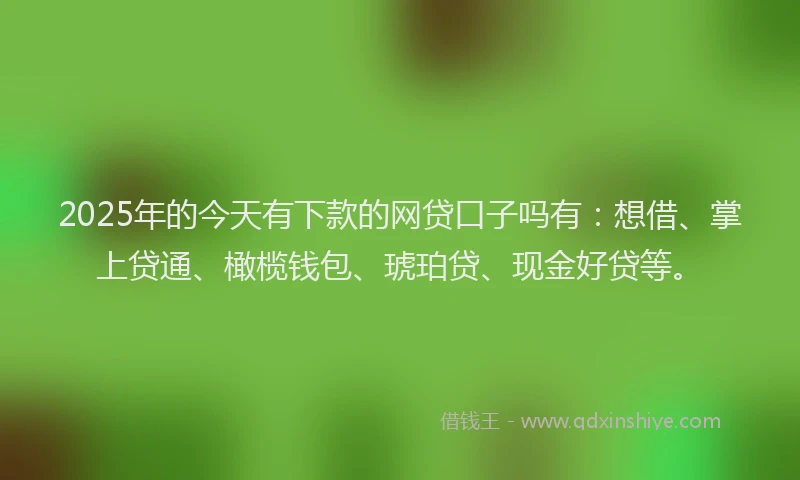 2025年的今天有下款的网贷口子吗有:想借、掌上贷通、橄榄钱包、琥珀贷、现金好贷等。
