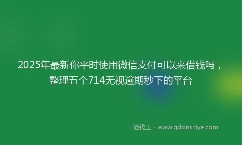 2025年最新你平时使用微信支付可以来借钱吗，整理五个714无视逾期秒下的平台