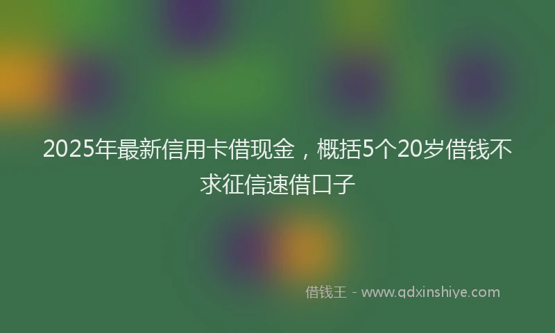 2025年最新信用卡借现金，概括5个20岁借钱不求征信速借口子