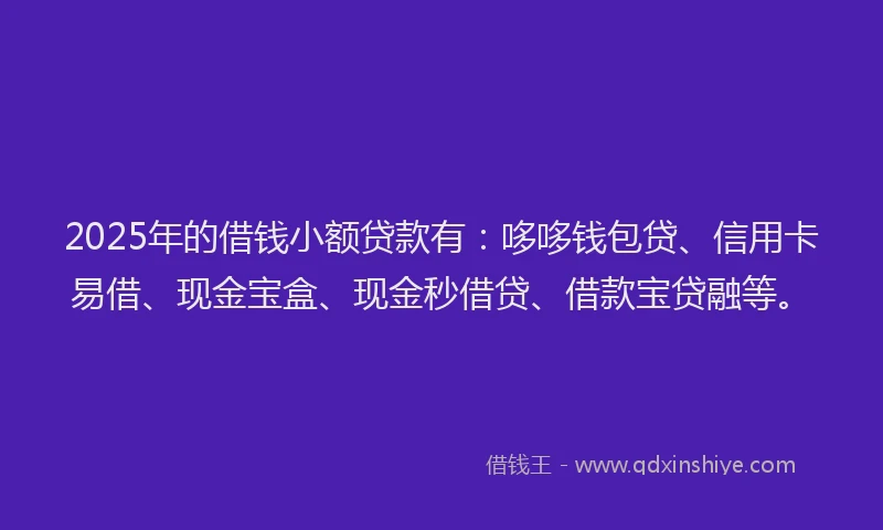 2025年的借钱小额贷款有：哆哆钱包贷、信用卡易借、现金宝盒、现金秒借贷、借款宝贷融等。